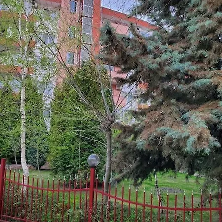 привилидж первая линия Sweti Wlas